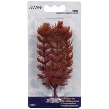 Plastplante foxtail mini 10cm med sugekopp