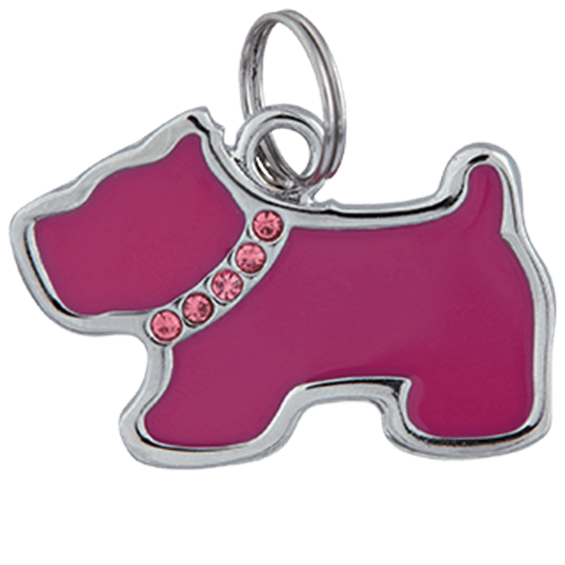 Hundesmykke_tropehagen.kinsta.cloud