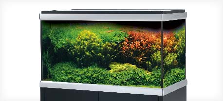 move-akvarium tropehagen.kinsta.cloud