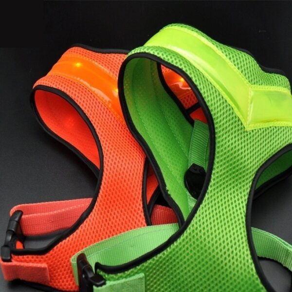 Hundesele myk med LED lys. Oppladbar USB