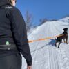 Alac magebelte med elastiske bånd Alac magebelte med elastiske bånd