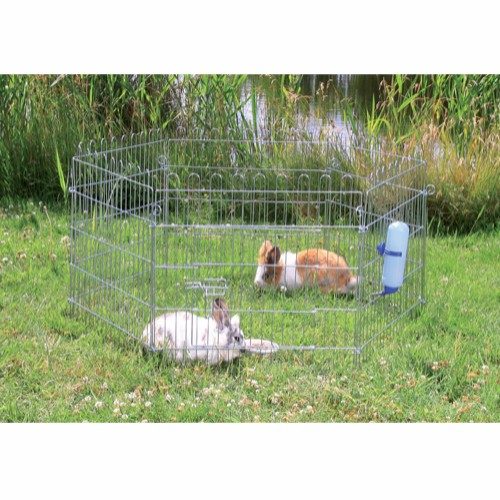 natura løpegård marsvin kanin