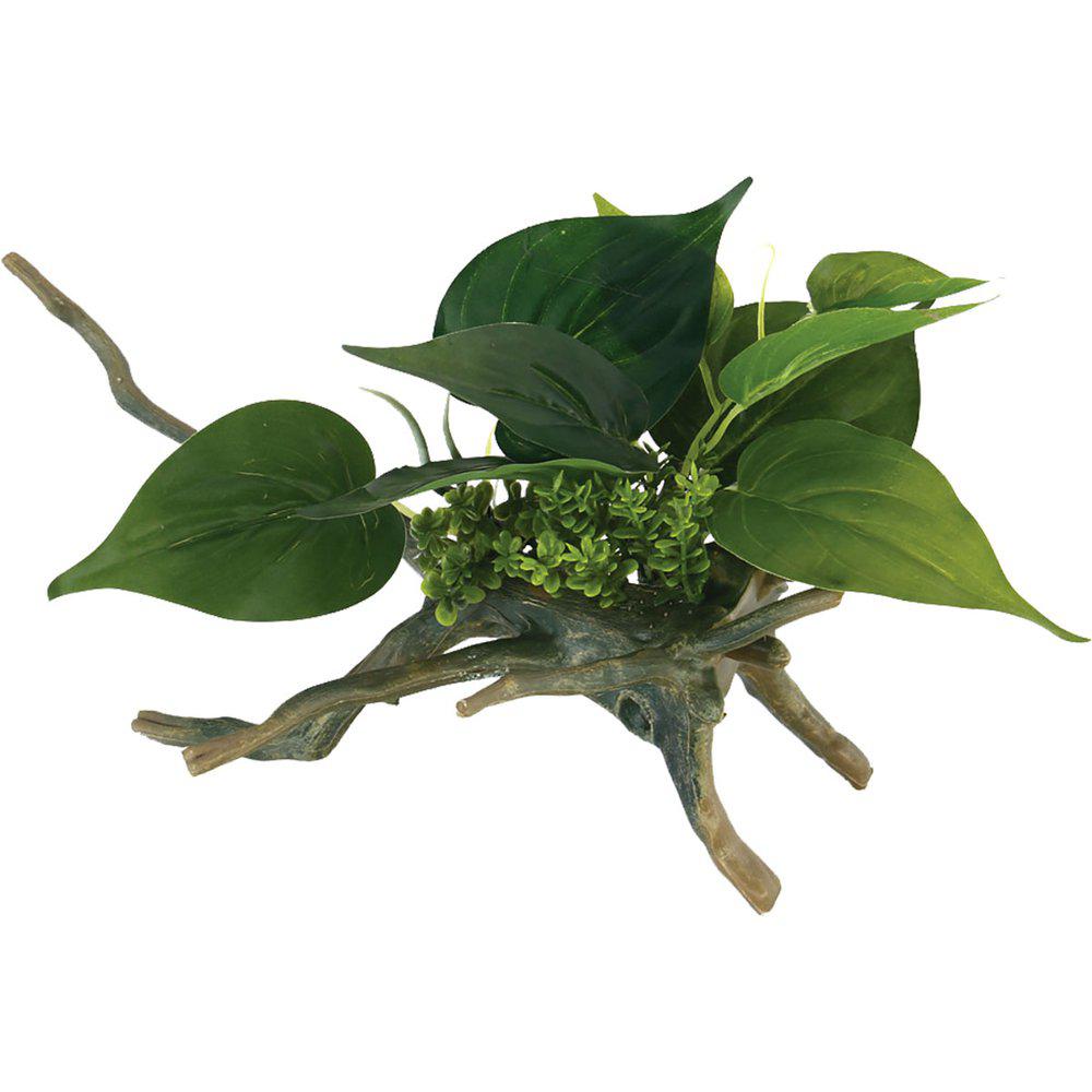 drivved plante akvariedekorasjon drivved plante akvariedekorasjon