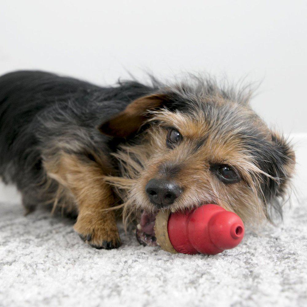 KONG Marathon Chews Dog Treat fyll til leke Kylling, 2-pakk