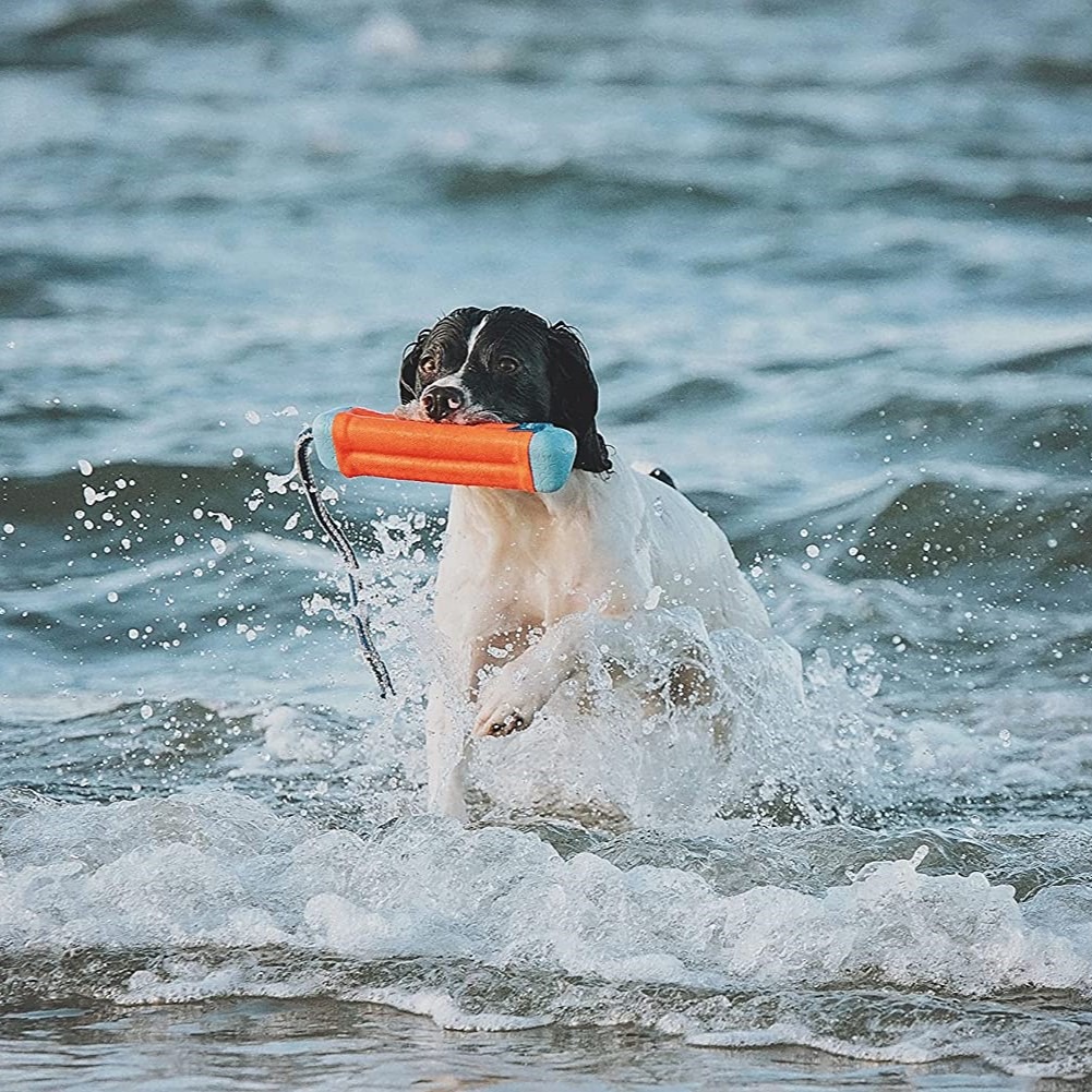 Chuckit! Amphibious Flytende Bumper Vannleke M