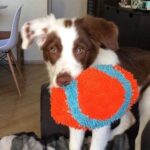 Chuckit-Indoor-Fumbler-Plysj-Rugby-4.jpg Chuckit! Indoor Fumbler Plysj Rugby