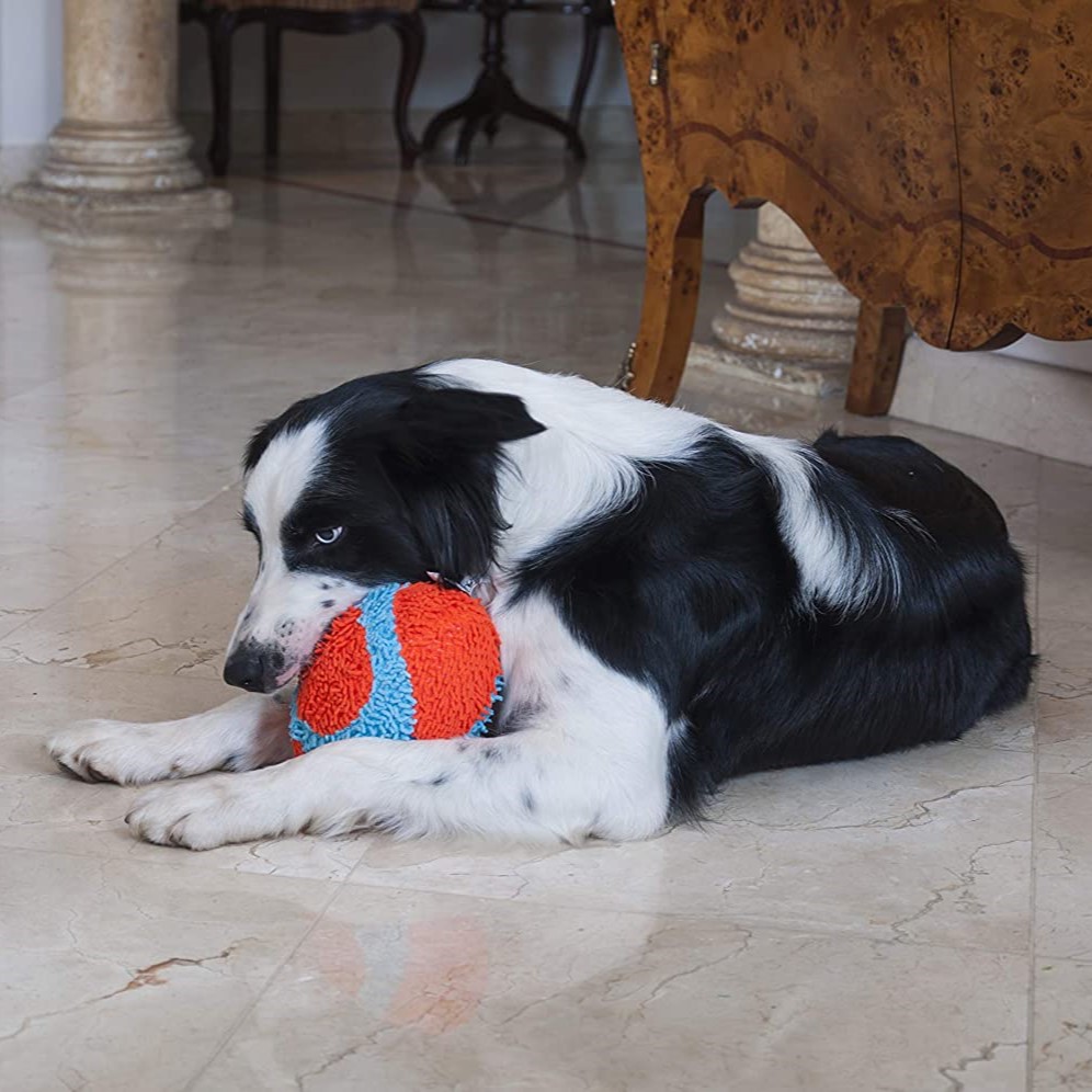 Chuckit-Indoor-Fumbler-Plysj-Rugby-7.jpg Chuckit! Indoor Fumbler Plysj Rugby