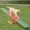 Trixie Fun Agility Seesaw Vippe til hund Trixie Fun Agility Seesaw Vippe til hund