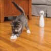 PetSafe-Frolicat-bolt-Laser.........jpg PetSafe Frolicat bolt Laser