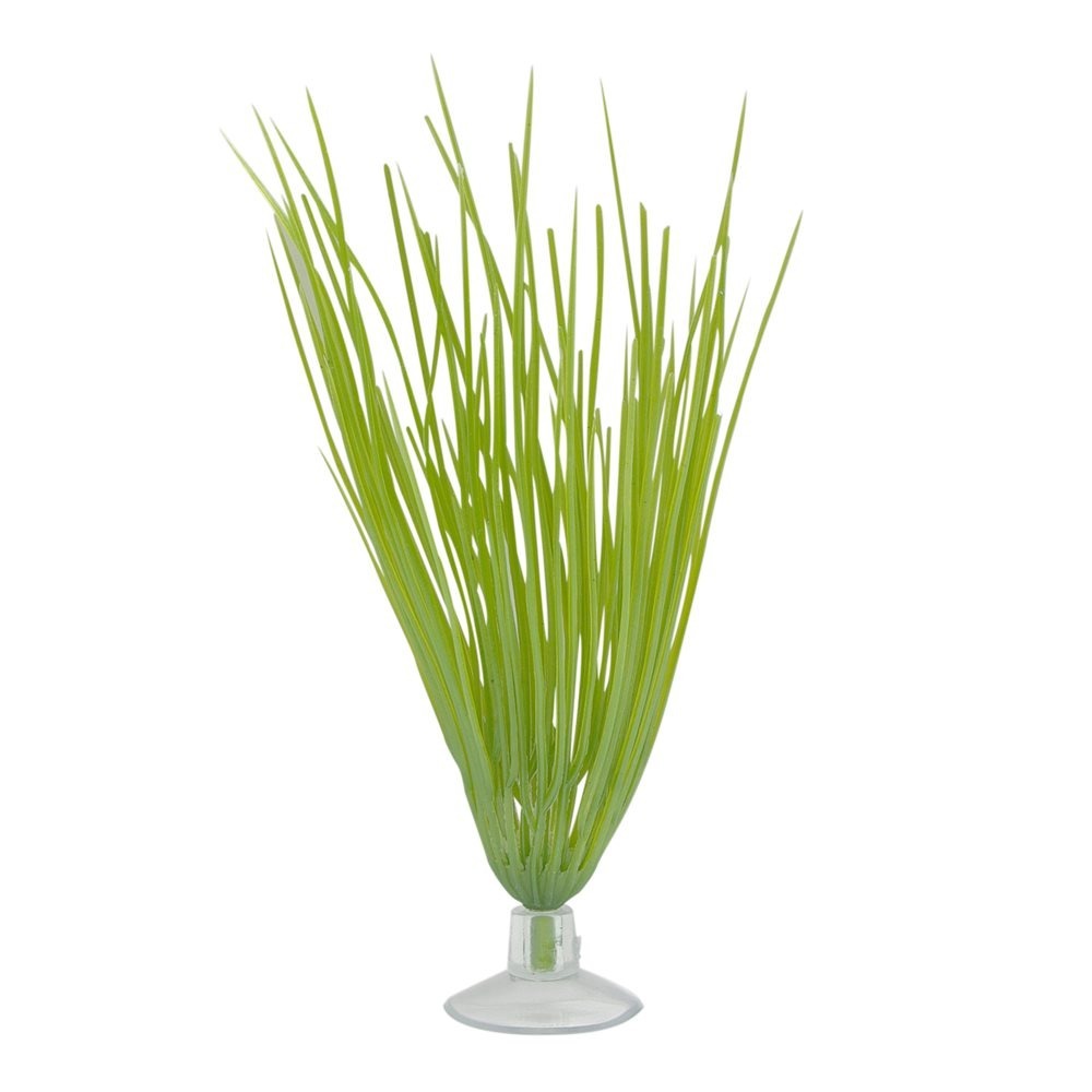 Plastplante-hairgrass-mini-med-sugekopp.jpg Plastplante hairgrass mini med sugekopp