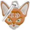 Myfamily-Abyssiner-IDtag.......jpg Myfamily Abyssiner IDtag