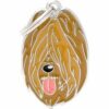 Myfamily-Briard-IDtag.....jpg Myfamily Briard IDtag