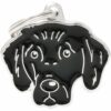 Myfamily-Flat-coated-retriever-IDtag.......jpg Myfamily Flat coated retriever IDtag