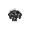 Myfamily-Flat-coated-retriever-IDtag.........jpg Myfamily Flat coated retriever IDtag