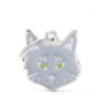Myfamily-Maine-Coon-IDtag.jpg Myfamily Maine Coon IDtag