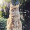 Myfamily-Maine-Coon-IDtag.............jpg Myfamily Maine Coon IDtag