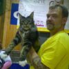 Myfamily-Maine-Coon-IDtag...................jpg Myfamily Maine Coon IDtag
