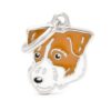 Jack-Russell-Broken.jpg Jack Russell Broken
