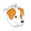 Jack-Russell-terrier-brun.jpg Jack Russell terrier brun
