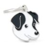 Jack-Russell-terrier-sort.jpg Jack Russell terrier sort