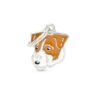 Jack-Russell-terrier.........jpg Jack Russell terrier