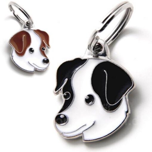 Jack Russell terrier