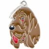 Myfamily-Blodhund-IDtag.........jpg Myfamily Blodhund IDtag