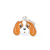 Myfamily-Cavalier-king-charles-IDtag.............jpg Myfamily Cavalier king charles IDtag