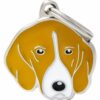 Myfamily-Foxhound.jpg Myfamily Foxhound
