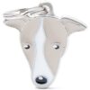 Myfamily-Greyhound-IDtag.jpg Myfamily Greyhound IDtag