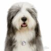 Myfamily-Old-English-Sheepdog-IDtag.....................jpg Myfamily Old English Sheepdog IDtag