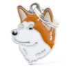 Myfamily-Shiba.jpg Myfamily Shiba