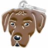 Myfamily-Rhodesian-ridgeback-.jpg Myfamily Rhodesian ridgeback