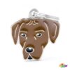 Myfamily-Rhodesian-ridgeback-5.jpg Myfamily Rhodesian ridgeback