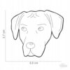 Myfamily-Rhodesian-ridgeback-7.jpg Myfamily Rhodesian ridgeback