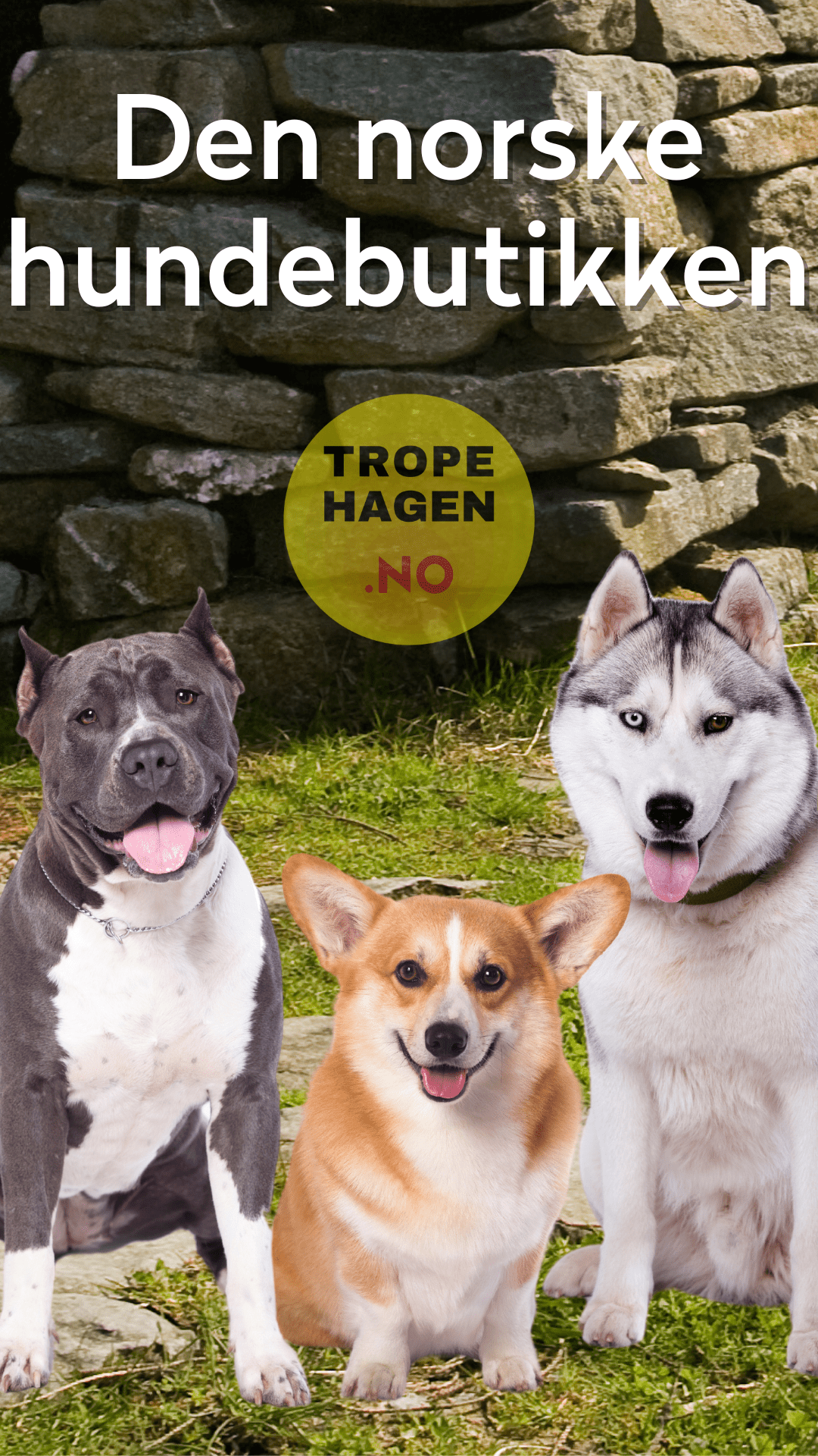 Tropehagen hund