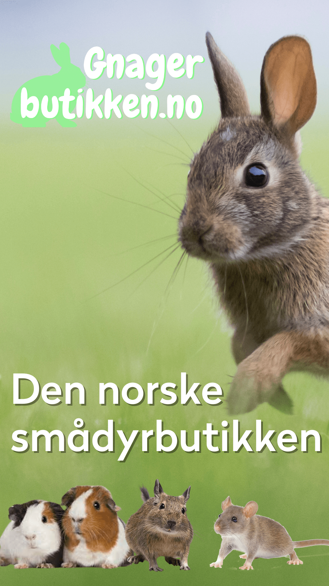 Gnagerbutikken.no
