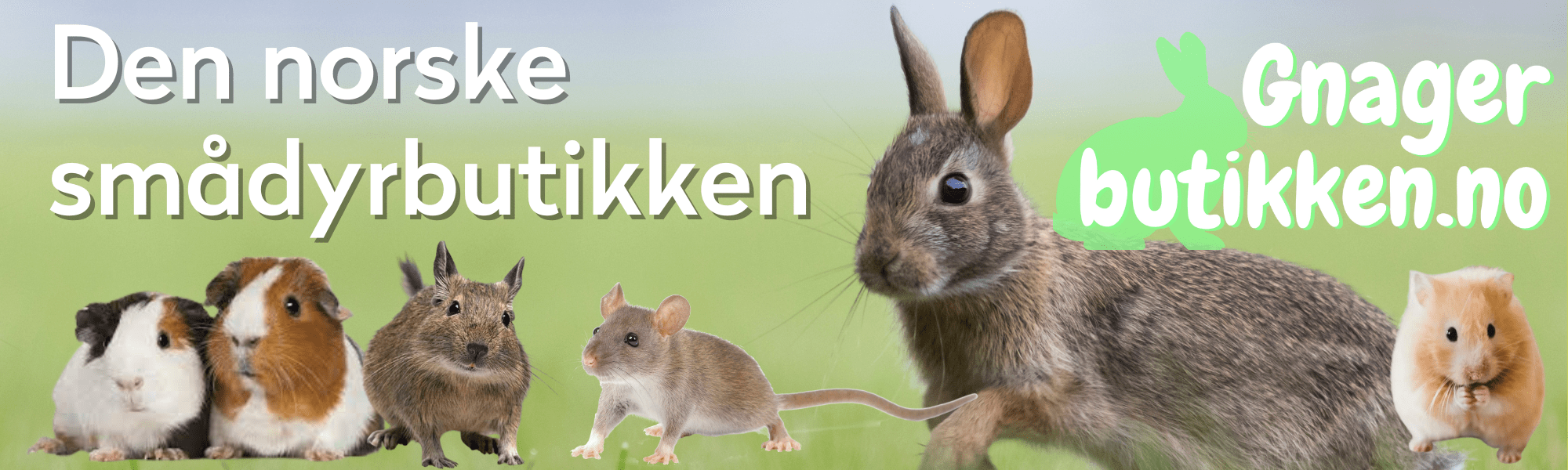 Gnagerbutikken.no