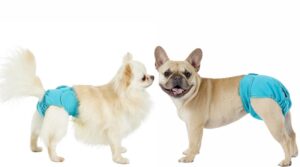 Tispetruser til løpetid