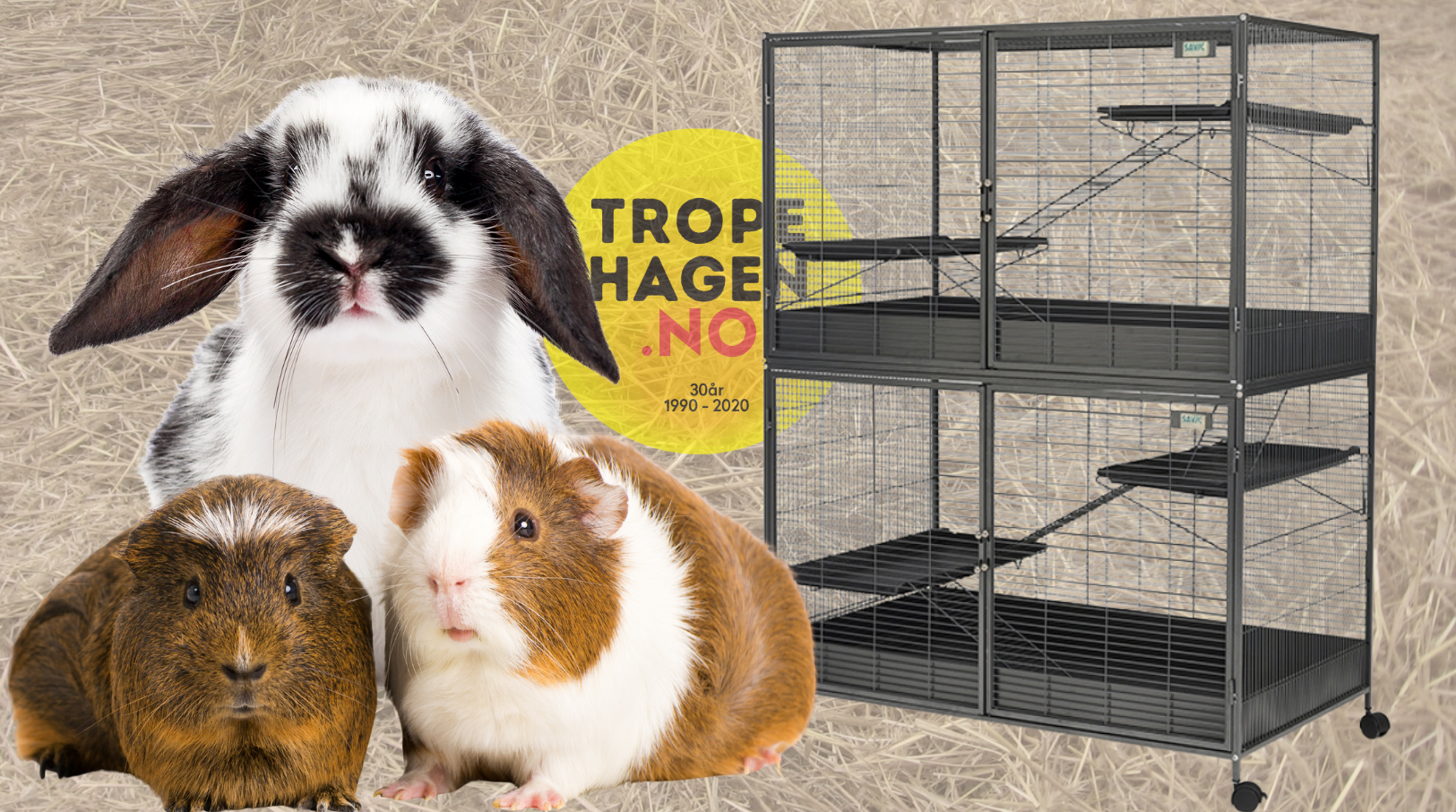 Den ultimate guiden til bur for marsvin og kanin