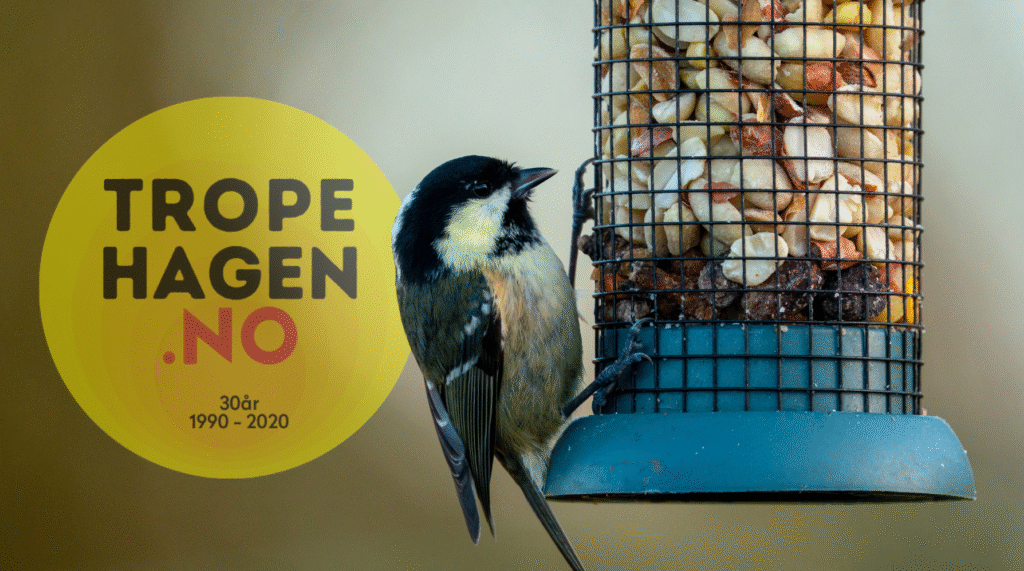 Fuglemat Guide 2025