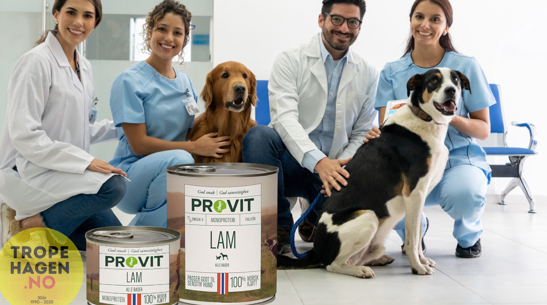 Veterinærfaglig perspektiv