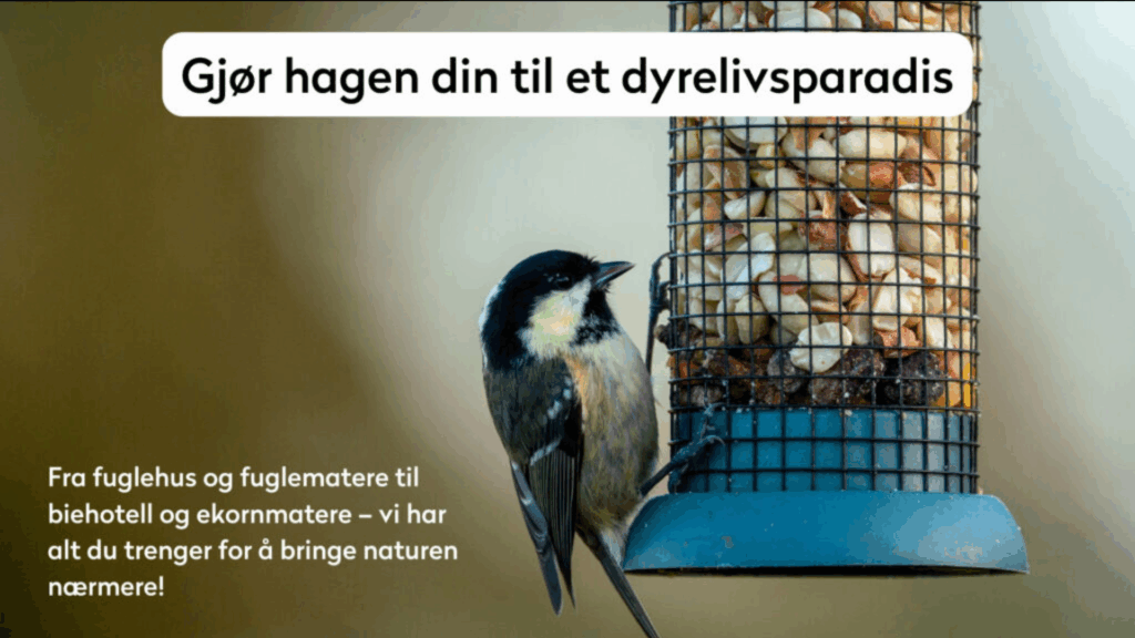 Utefuglutstyr og Mat