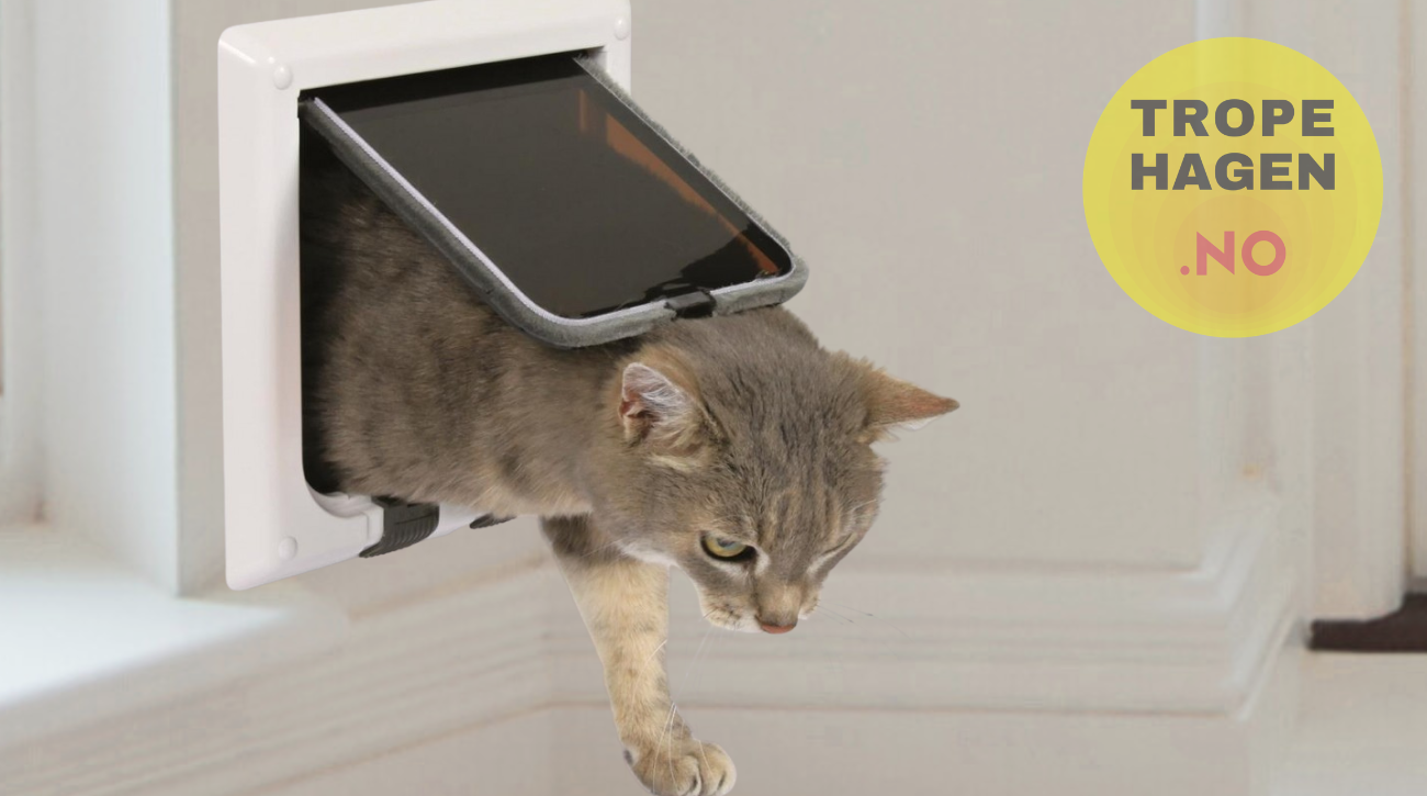 Trixie 4-veis katteluke L med tunnel – perfekt for norske husholdningskatter 2-6 kg