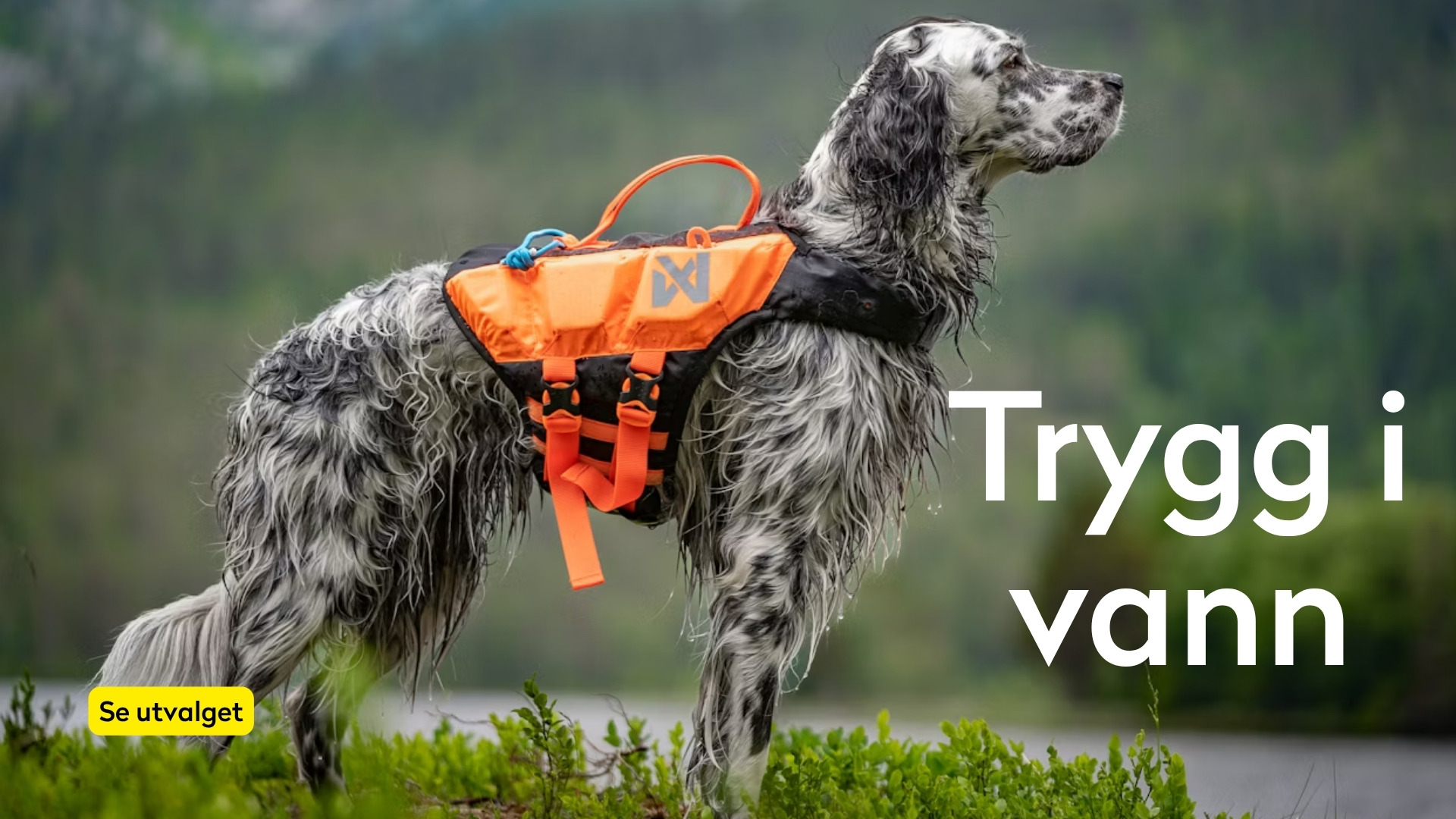 Redningsvest hund