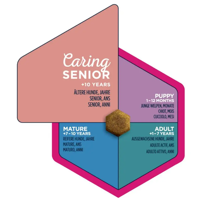 Eukanuba-Senior-Medium-Breed.jpg Eukanuba Senior Medium Breed