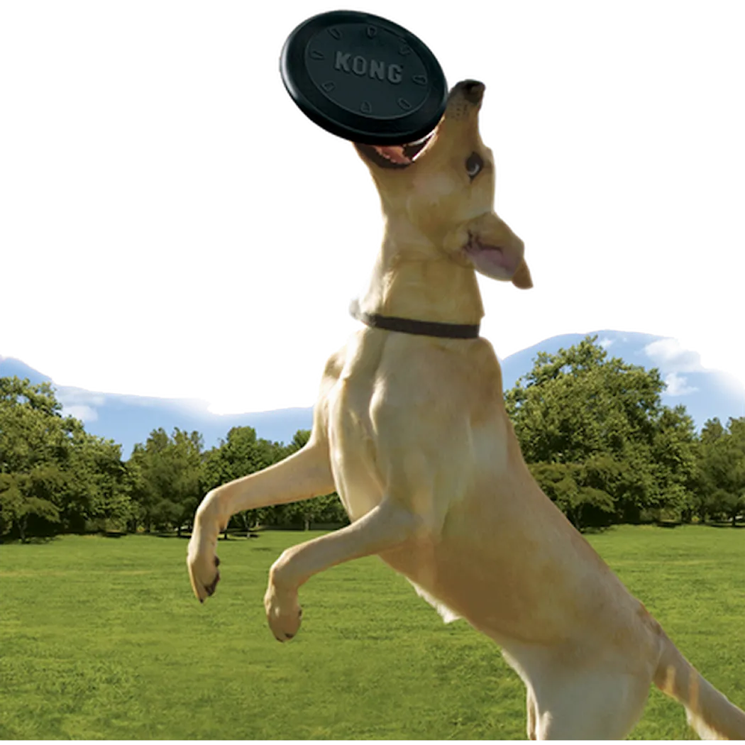 kong-extreme-frisbee-.png Kong Extreme Frisbee