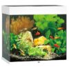 Juwel Akvarium LED Lido 120