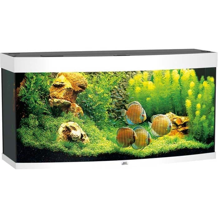 Juwel Buet Akvarium LED Vision 260 121x46x64cm Juwel Buet Akvarium LED Vision 260 121x46x64cm