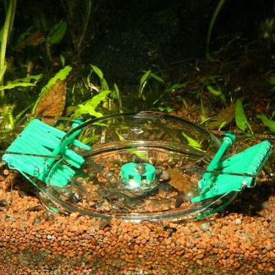 JBL Sneglefelle